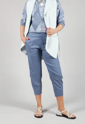 Cropped Slim Leg Pants in Steel Blue