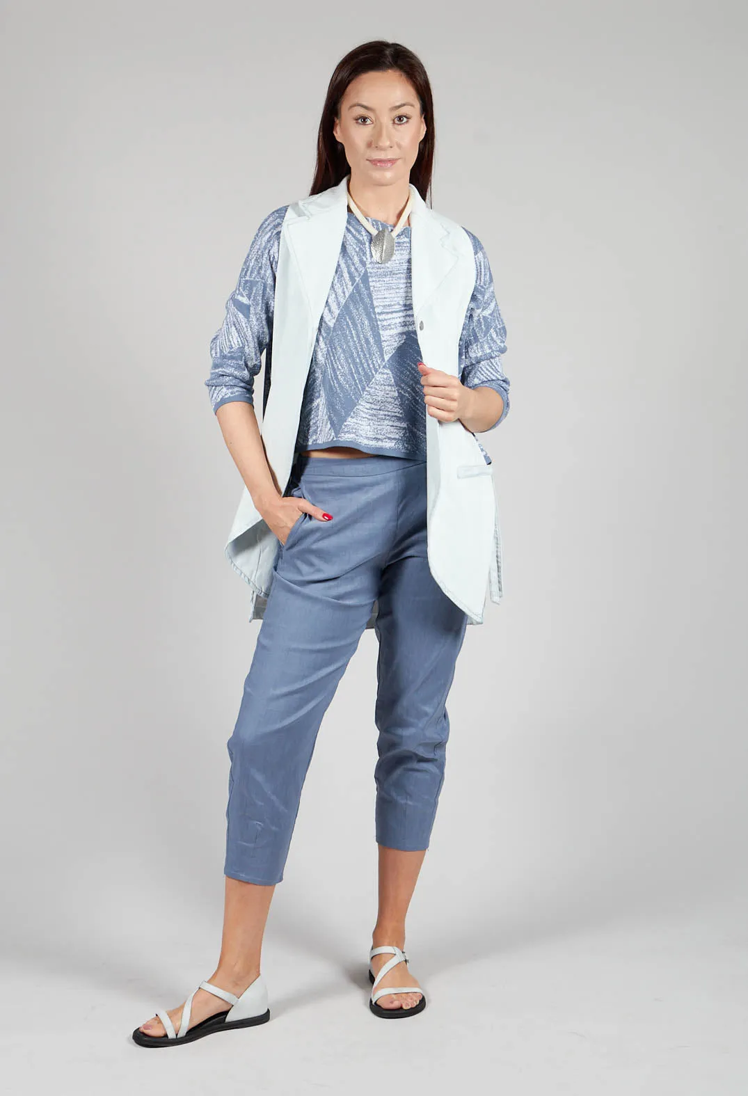 Cropped Slim Leg Pants in Steel Blue