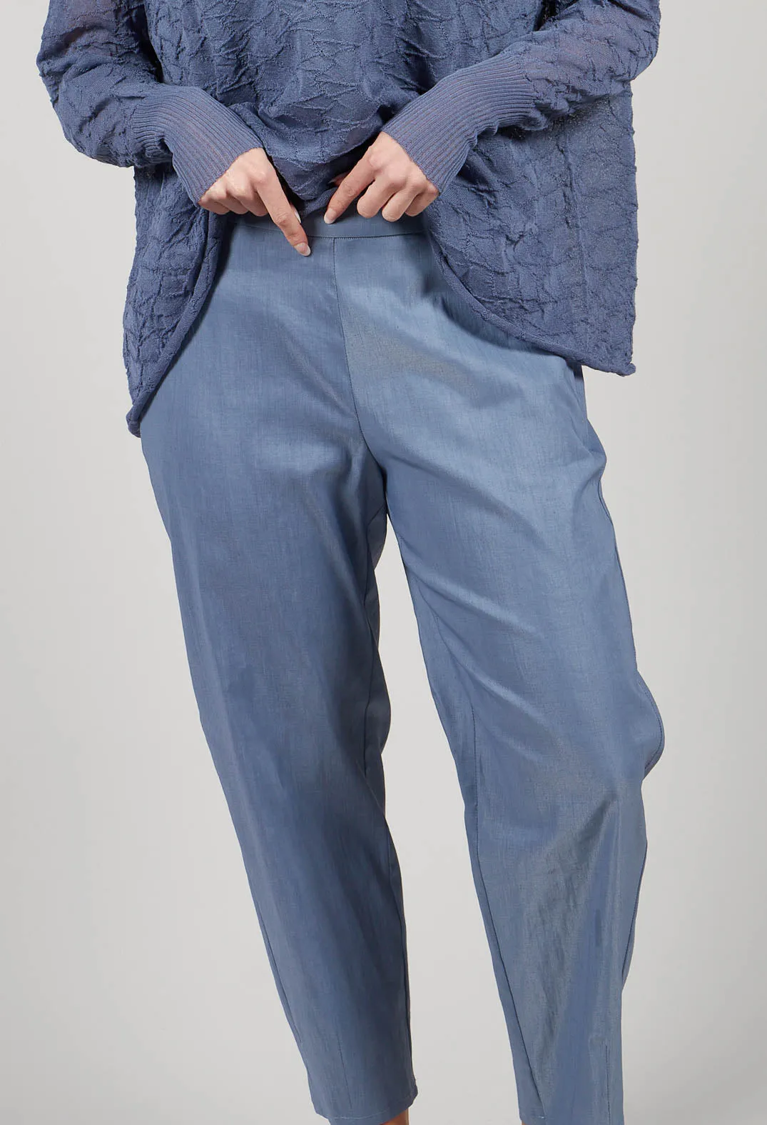 Cropped Slim Leg Pants in Steel Blue