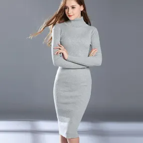 Slim Elastic Turtleneck Long Sleeve Sexy Lady Bodycon Robe Dress