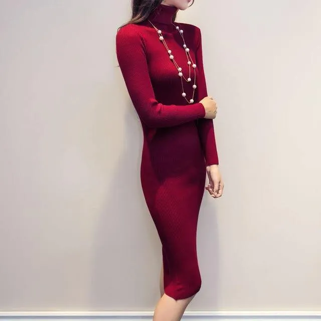 Slim Elastic Turtleneck Long Sleeve Sexy Lady Bodycon Robe Dress